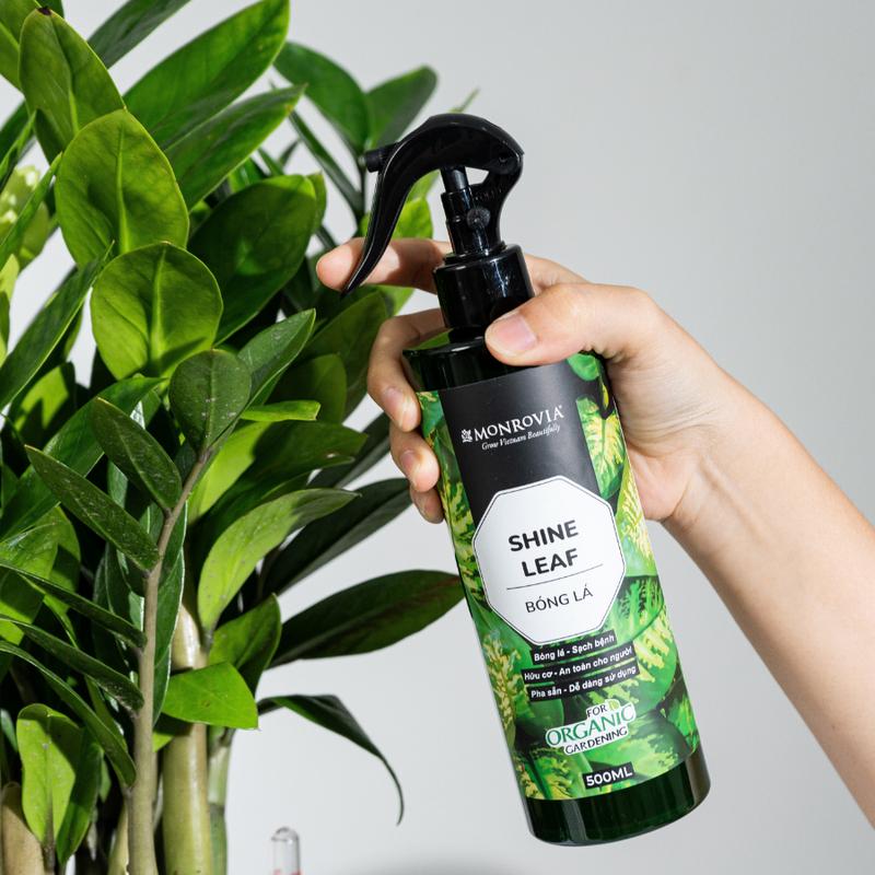 Product Introduction of Phân bón hữu cơ BÓNG LÁ MONROVIA pha sẵn giúp lá cây khỏe mạnh, xanh bóng, dành cho cây trồng dung tích 500ml 4