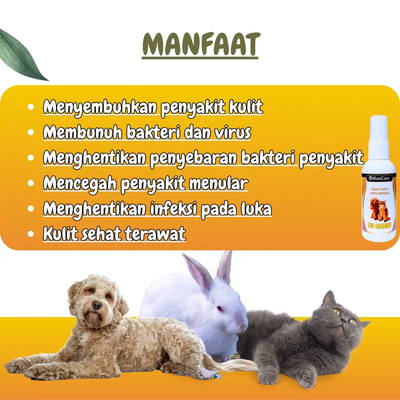 (Maxicare) Anti Scabies Obat Jamur Kucing dan Anjing Scabies Demodex Impetigo Jamur Kutu Parasit Gatal isi 60 ml Anti Scabies Clever Solution Royal Care Elope Golden Paw 1