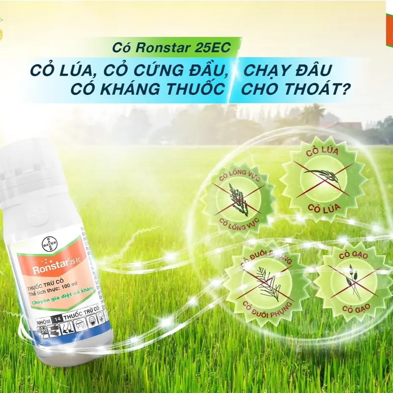 Có sản phẩm Ronstar 25EC cỏ lúa cỏ cứng đầu chạy đâu cho thoát - Phân bón 0