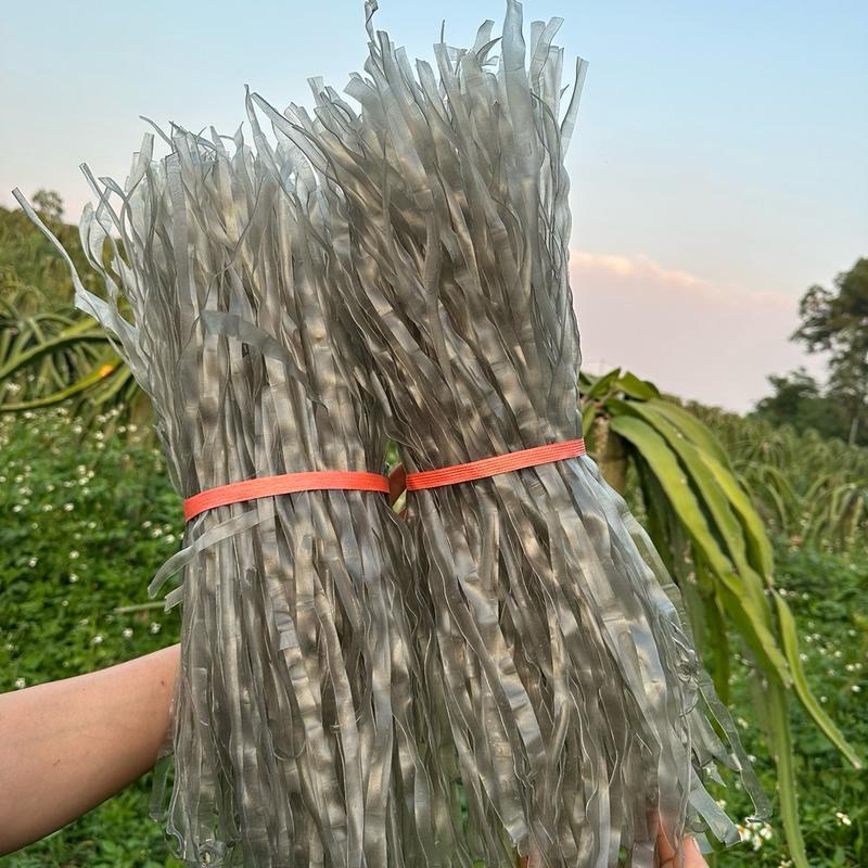 Combo 2kg miến dong sợi to - Đặc sản Tây Bắc Food Sen Chè Thức Ăn miến  dẹt Hạt Sen miến  dẹt