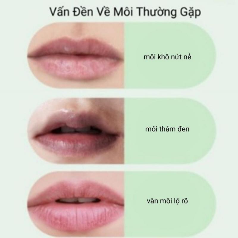 Product Introduction of Son Dưỡng Ẩm Hương Đào Và Mật Ong, Son Dưỡng Môi Giúp Đôi Môi Căng Bóng Mềm Mịn 27