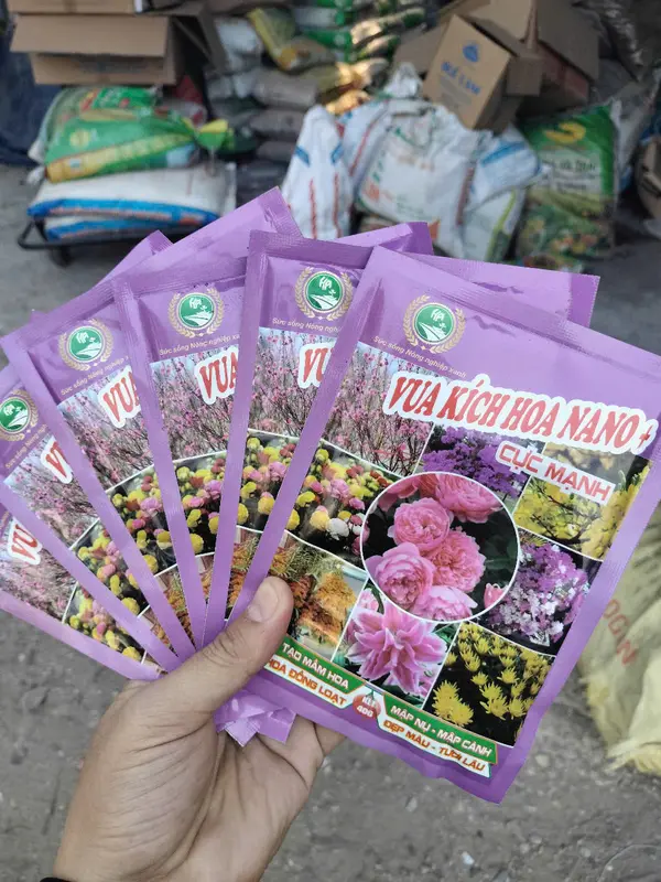 Vua kích hoa nano Cục mạnh tạo mầm hoa , mập nụ , mập cành , ra hoa đồng đều 6