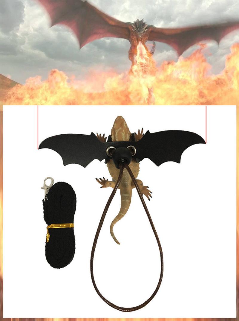 Product Introduction of 2025 Reptile Pet Lizard Leash with Wings Squirrel Harness Chinchilla Leash Green Gecko Lizard Guinea Pig Outdoor Leash 2