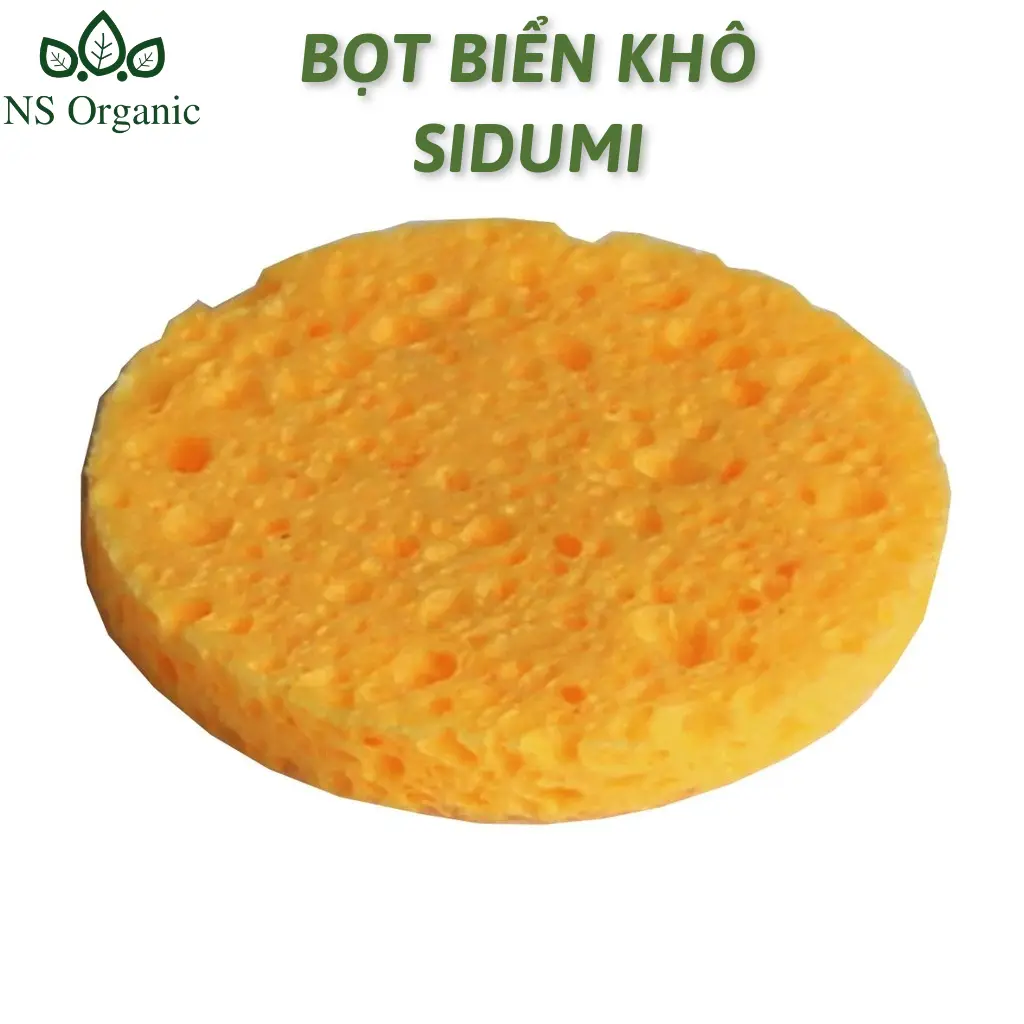 Bọt Biển Khô SiDuMi - Bọt biển lỗ