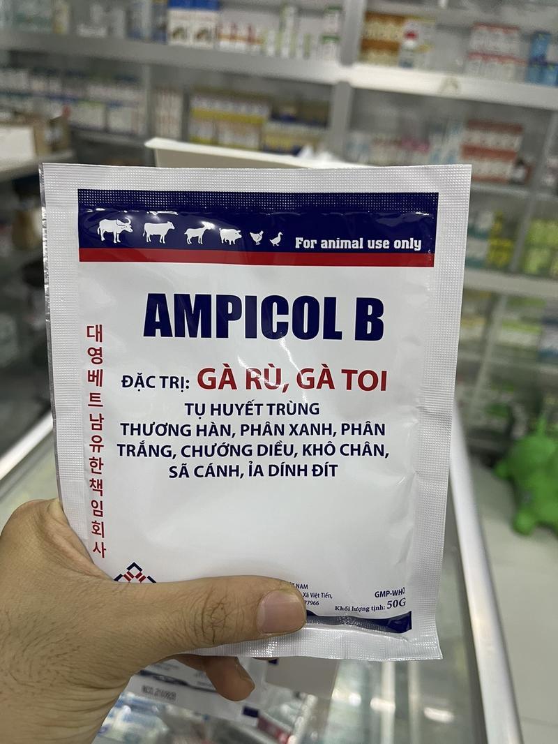 Product Introduction of Combo 2 gói Gà Rù, Gà Toi Ampicol B (50g) hỗ trợ viêm ruột 1