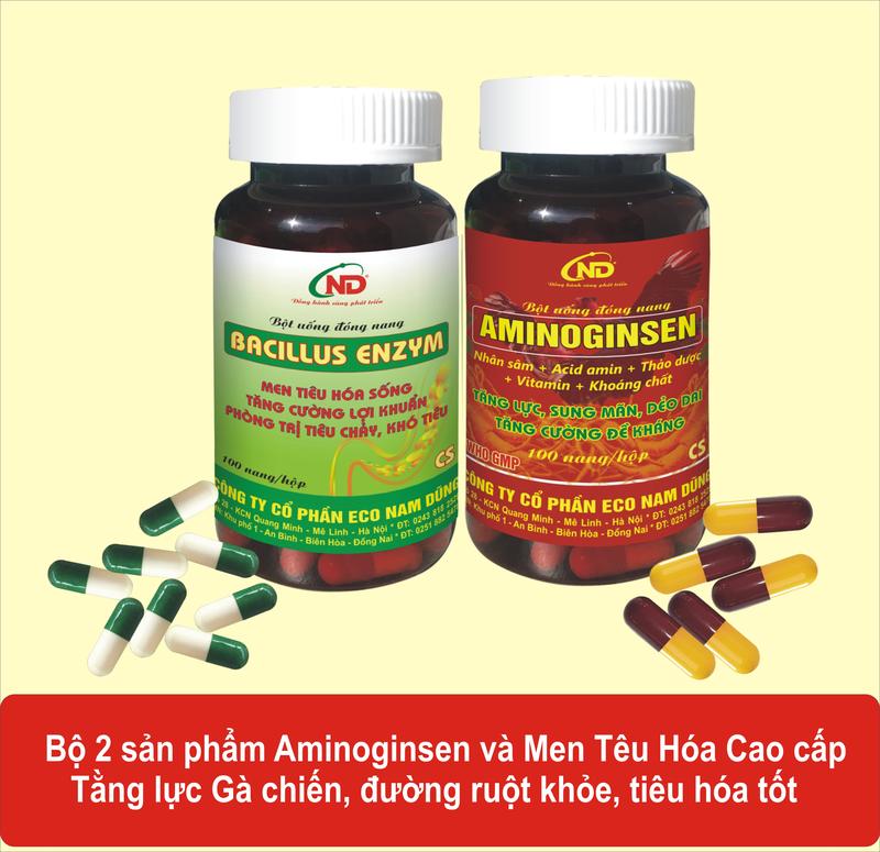 Combo Thuốc nuôi Aminoginsen và Bacillus Enzym cho gà chọi viên nang uống Giúp gà sung căng đỏ khỏe