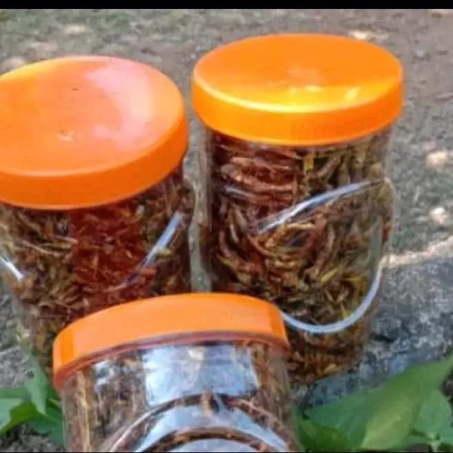 CEMILAN EXTRIM /WALANG/BELALANG GORENG TOPLES PANJANG 210 GRAM Rendah lemak 3