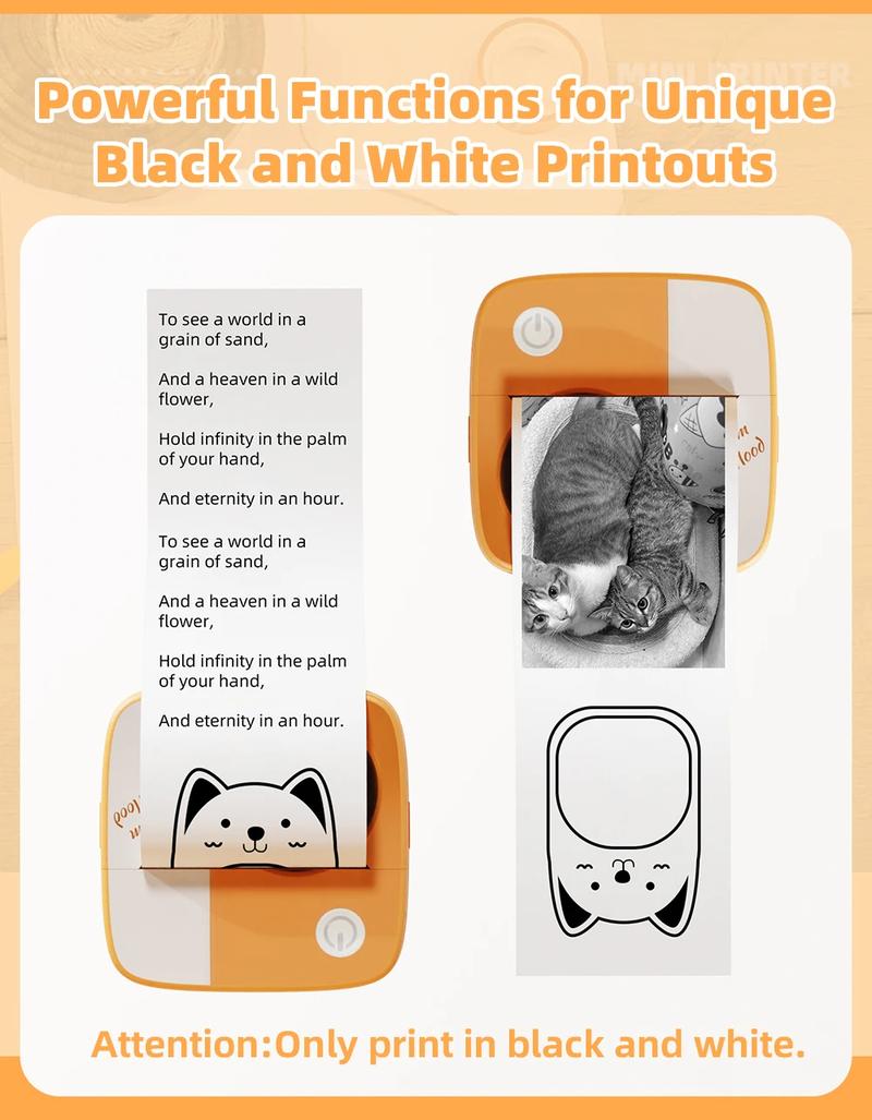Product Introduction of Mini Printer Portable Label Sticker Thermal Printer Self-adhesive Color Paper Photo Wireless Bluetooth Printing For Phones Print 3