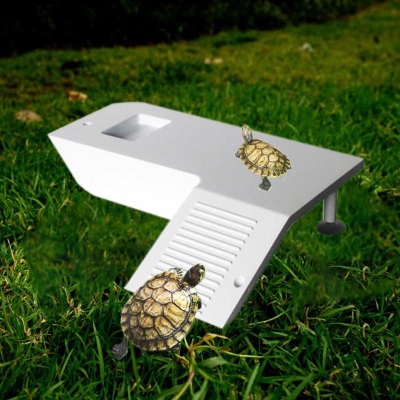 Multifunction Practical Turtle Climbing Platform for Lizard Frog ...