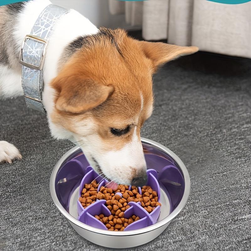 Slow Feeder Dog Bowl Insert, 1 Count Anti-choking Puzzle Dog Food Bowl, 2-in-1 Puppy Slow Feeder Bowl for Fast Eater, Dog Dishes to Slow Down Eating 5