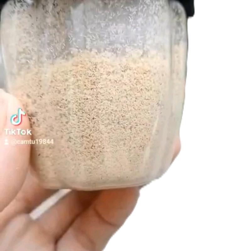 hộp nhựa đựng 10gam trứng sâu canxi Thức ăn cho gà