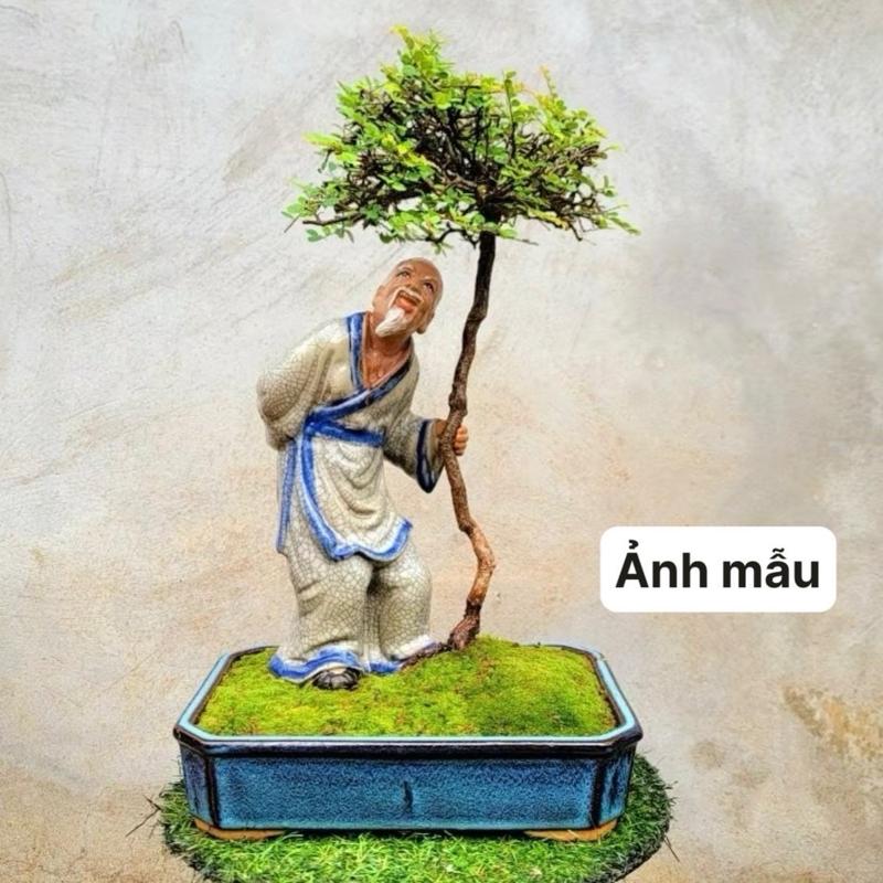 Tượng lão mai ghép cây mini cây bonsai gốm Bát Tràng cao 27cm Decor trang trí tiểu cảnh, cây bonsai