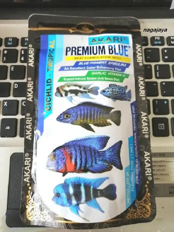 Pelet akari premium blue cichlid 1 mm 100gr pelet ikan siklit 2