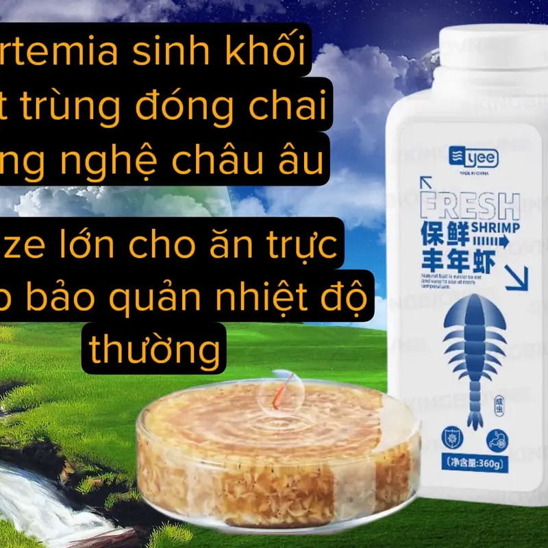 Artemia - sinh khối - thanh trùng chất lượng dinh dưỡng cao cho ăn trực tiếp,phù hợp cho cá trưởng thành và phát triển 4