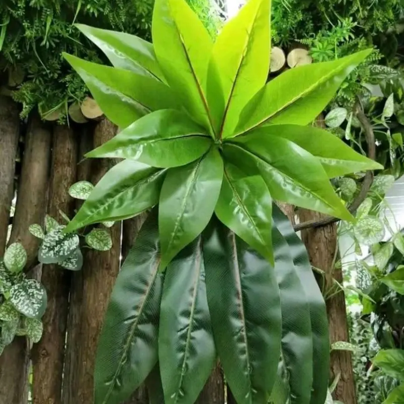 Daun pakis atau daun hanjuang artificial 2