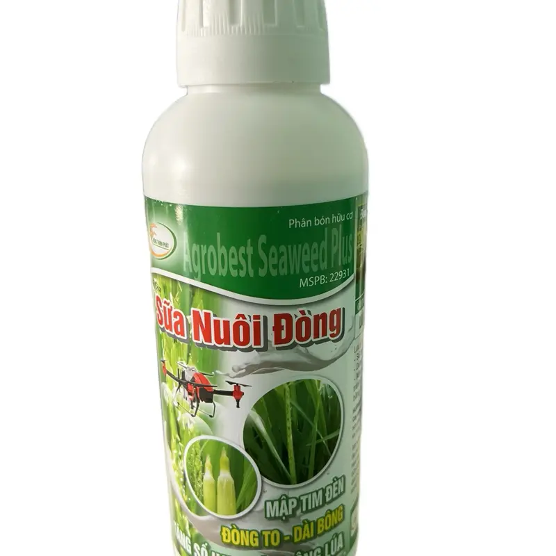 Sữa Nuôi Đòng - Mập tim đèn - Đòng to - Bông bự - Phân bón hữu cơ - 1 lít/ ha 1
