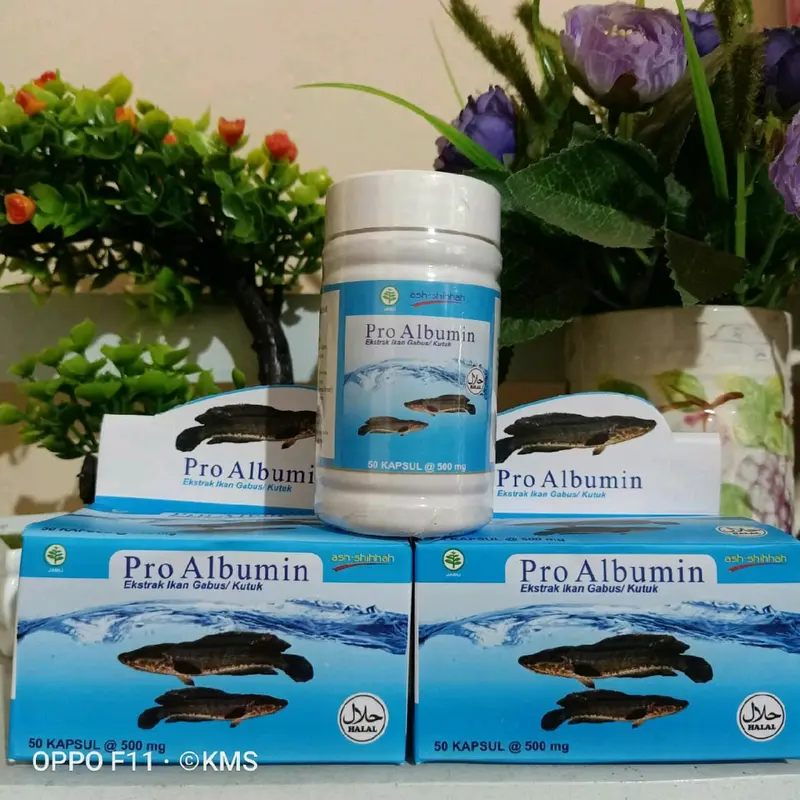 Pro Albumin Ekstrak Ikan Gabus untuk Mempercepat Penyembuhan Luka Kemasan 50 Kapsul 0