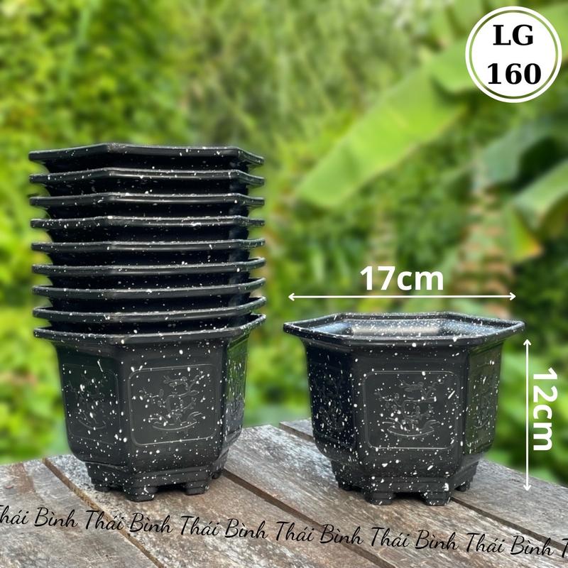 Chậu Nhựa Lục Giác 160 Đá Đen - Đá Đỏ