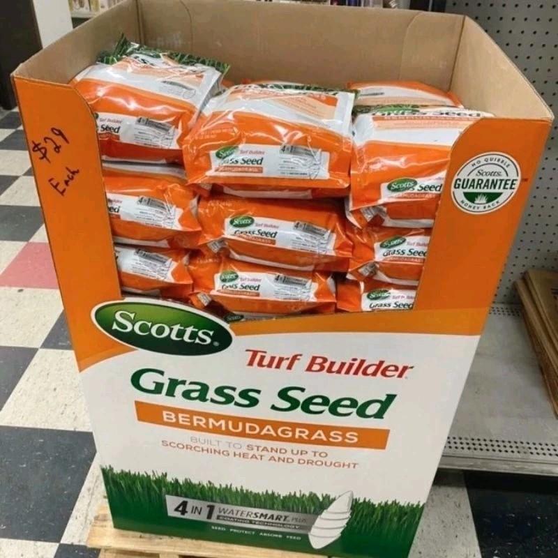 Grass seed scoots - bermuda grass - benih rumput jepang 100 gr 2