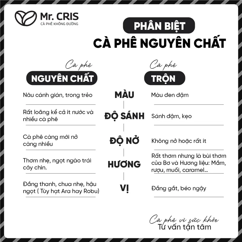 SỐ 3. MR.CRIS - Cà phê Coldbrew túi lọc Arabica Cầu Đất - Tiện lợi cho người bận rộn 20 túi x 12gr Cafe Coffee cafephin   white nescafe  white 1