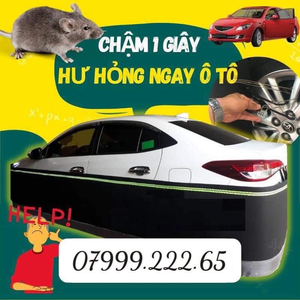 Quây Chống Chuột Ô Tô - Q.Car