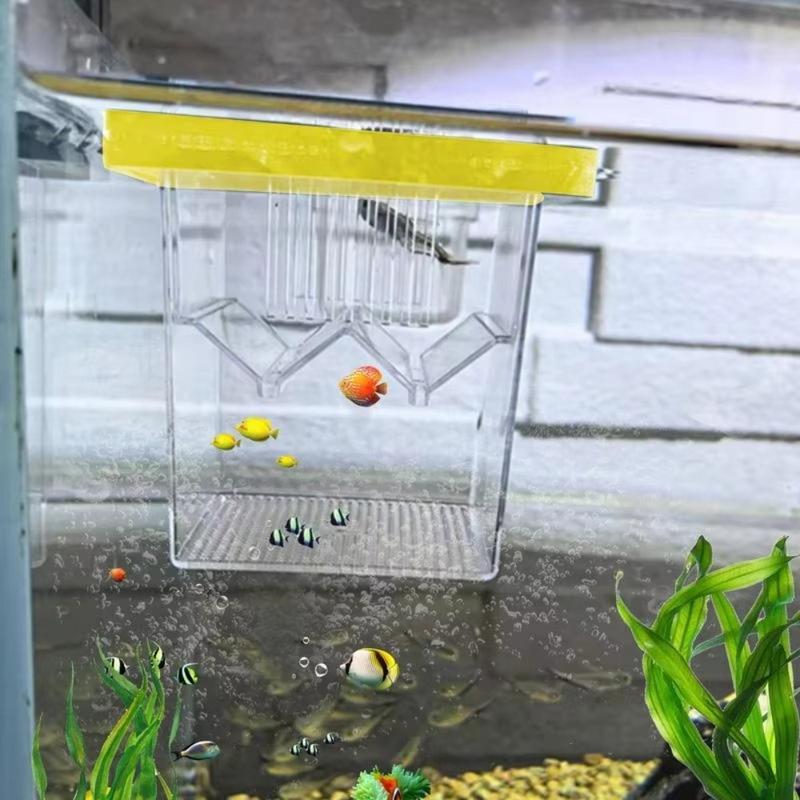 Durable Floating Fish Breeding Box Square Adjustable Aquariu - TikTok ...