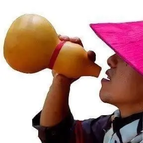 Sơn Dược Vlogs Chính Chủ