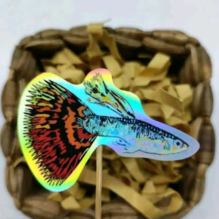 Stiker Guppy 5pasang