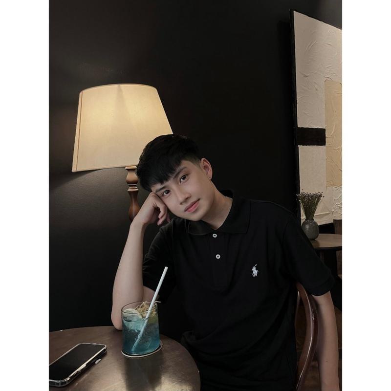 Áo Thun POLO nam nữ con ngựa cổ bẻ BASIC vải CVC cá sấu co giãn, chuẩn form thanh lịch sang trọng pa1000