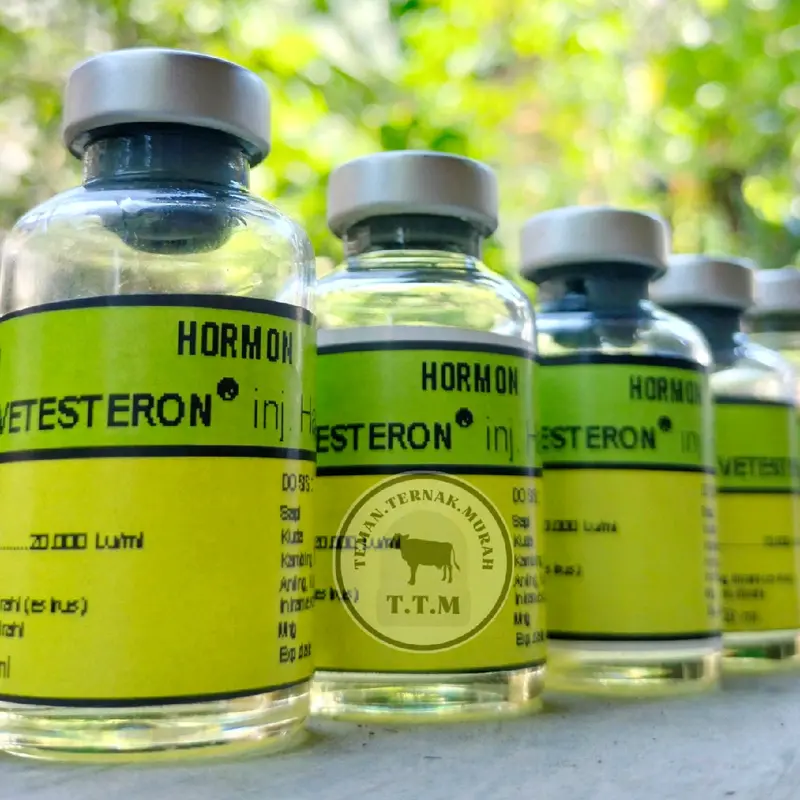 Pemacu birahi sapi-Vetesteron 20 mL-Pemacu birahi kambing 5