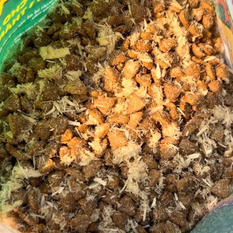 (Topping ruốc) COMBO 2KG hạt cao cấp CAT'S SAYY SIÊU TOPPING Ruốc Gà, hỗ trợ tăng cân, hỗ trợ làm mượt lông, Topping Ruốc làm cải thiện tình trạng kén ăn cho Mèo mọi lứa tuổi 1