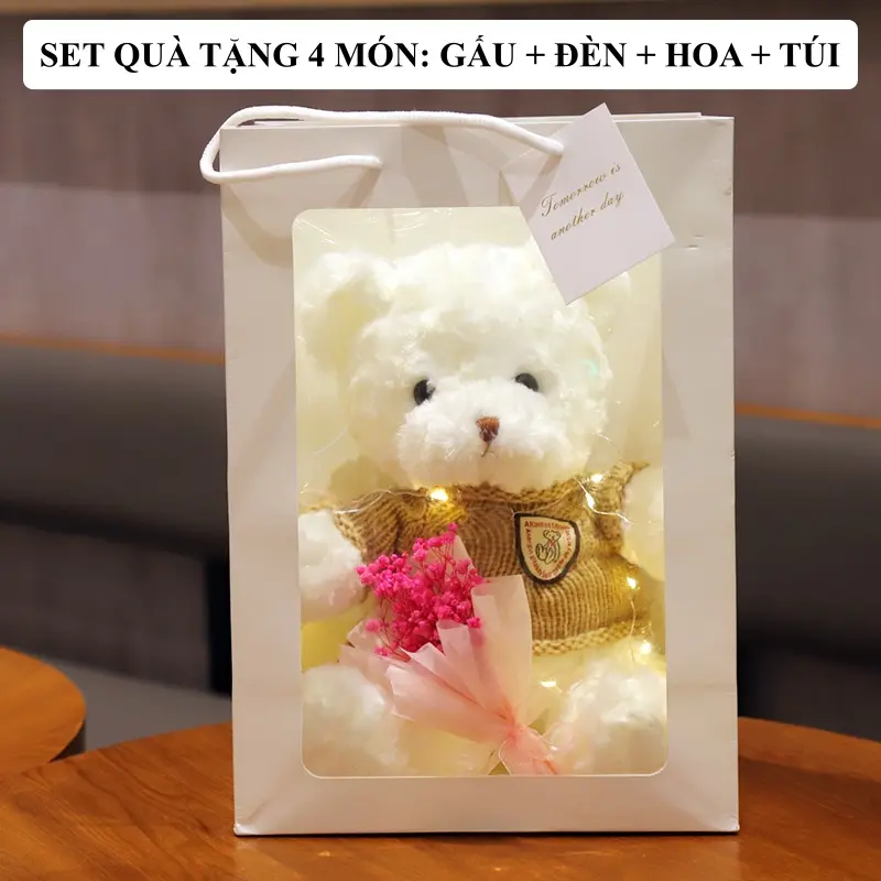Set quà tặng gấu bông kèm túi xách, đèn, hoa, quà tặng dễ thương, xinh xắn cho các dịp lễ và các ngày đặc biệt GA04