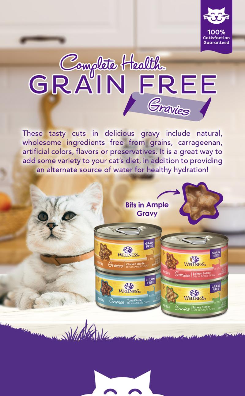 Product Introduction of Wellness Complete Health Gravies Wet Cat Food 3oz 0