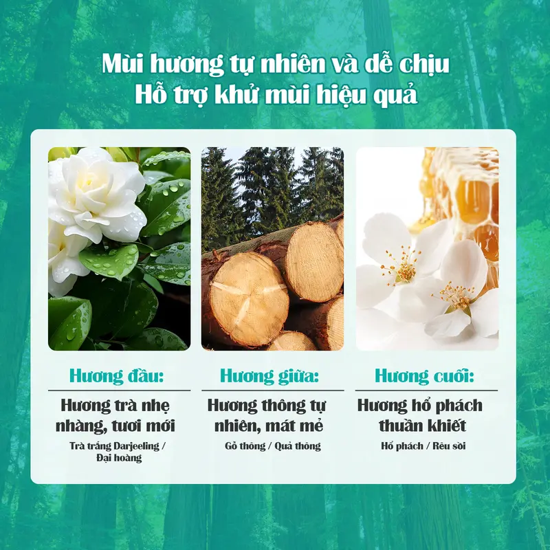 [MUA 1 TẶNG 2] Nước tẩy bồn cầu Flashman - Làm sạch hiệu quả - Diệt khuẩn - Khử mùi khó chịu (500g / 1 chai) 2