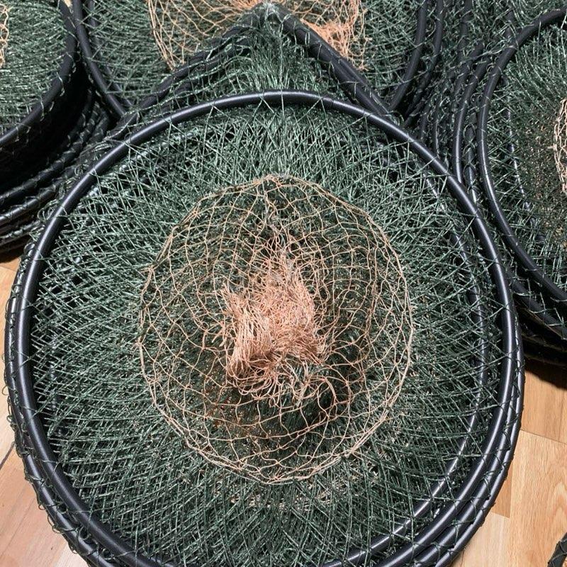 Combo 10c lờ cá lóc cải tiến dài 52 rộng 31tặng 1c gim