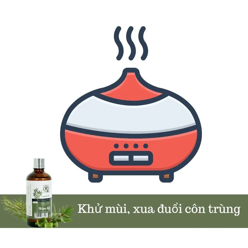 Tinh Dầu Tràm Huế 100ml tặng vỏ dây treo kim tuyến 8ml 4