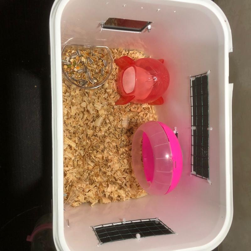 Kandang Hamster atau Reptil Rakitan UK 27x19x20cm 4