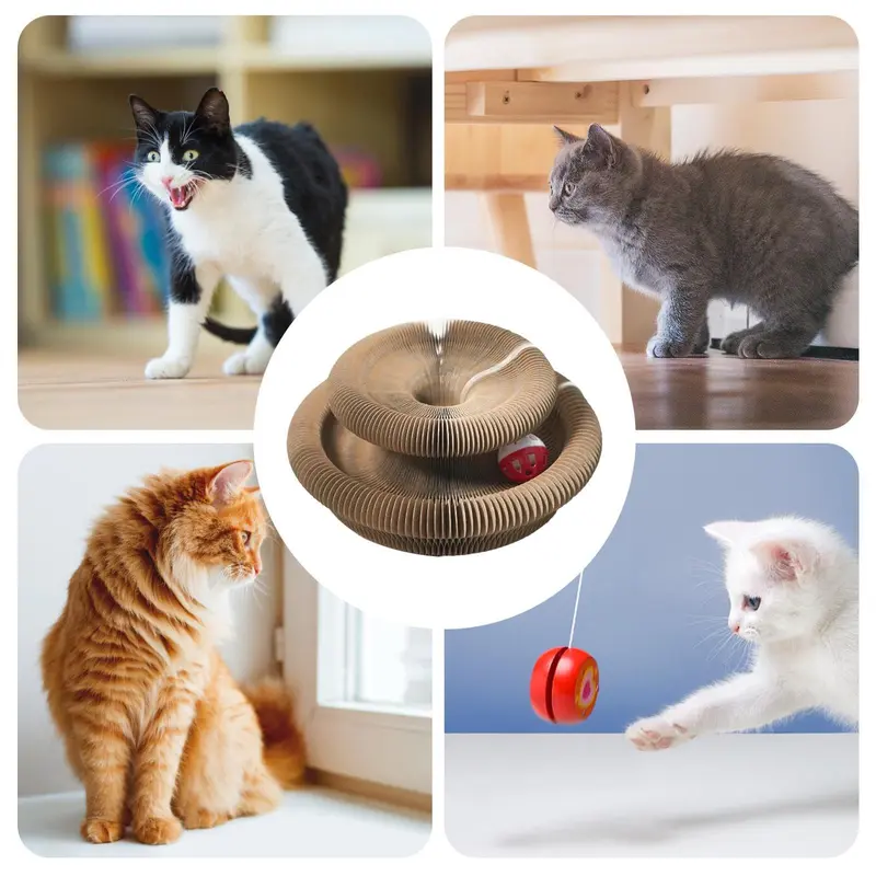 Magic Cat Scratching Board Toy with Random Color Ball, 1 Set Reversible Infinity Magic Organ Cat Toy, Durable Cat Scratcher, Pet Supplies, Cat Toys 6