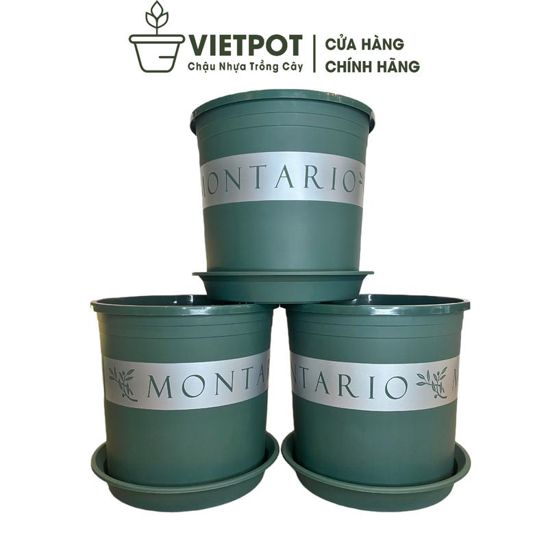 Combo 3 chậu size 30x29, Chậu nhựa VIETPOT màu xanh, họa tiết MONTARIO, kèm đĩa, trồng cây kiểng lá, hoa hồng, trang trí nhà cửa, sân vườn.