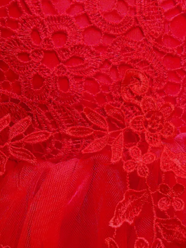Girl's Contrast Lace Appliques Big Bow Decor Tulle Dress, Elegant Sleeveless Round Neck Midi Dress for Party Performance Wedding Guest, Kids Clothes for All Seasons 5