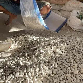 BATU CORAL PUTIH / HITAM KARUNGAN 10 KG DEKORASI TAMAN - LEAVESHOPP 1