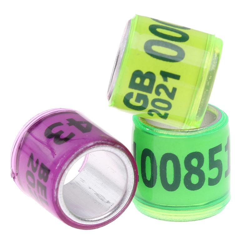 Product Introduction of 20 pcs Pigeon Foot Ring With Word Earrings 2023 Multicolor Bird Tools 22