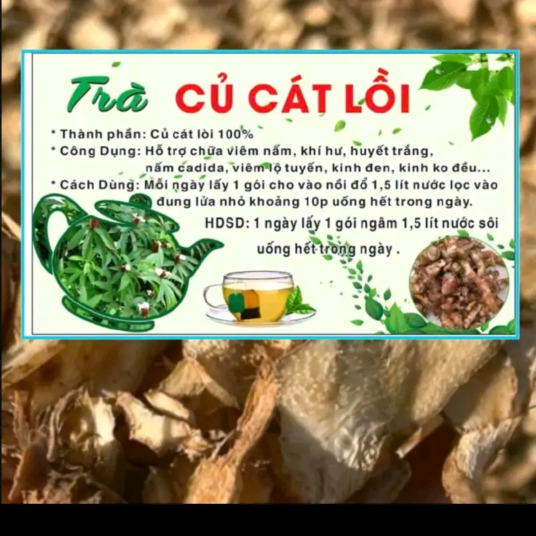 Trà củ cắt lồi hỗ trợ viêm nấm,kh.í hư, huyết trắng.nấm candida, viêm lộ tuyế...