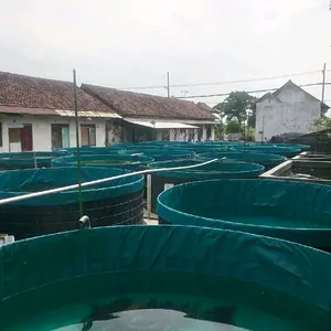 kolam terpal bulat Diameter 5 Tinggi 120 bahan semi karet merek Orchid