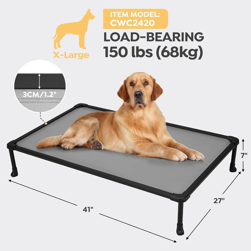 Dog bed training best sale