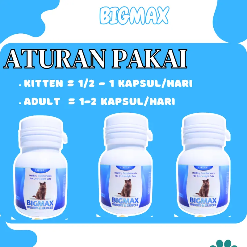 VITAMIN KUCING NAFSU MAKAN PENGGEMUK BULU RONTOK KUCING ANTIBODY KUCING BIAR GEMUK PENAMBAH NAFSU MAKAN KUCING CEGAH RONTOK BULU KUSAM JAMURAN MAX VIT ROYAL CARE BIG CAT BABAH CAT HOUSE CLEVER SOLUTION CUTE CAT perawatan bulu & kulit bisa dikunyah 2