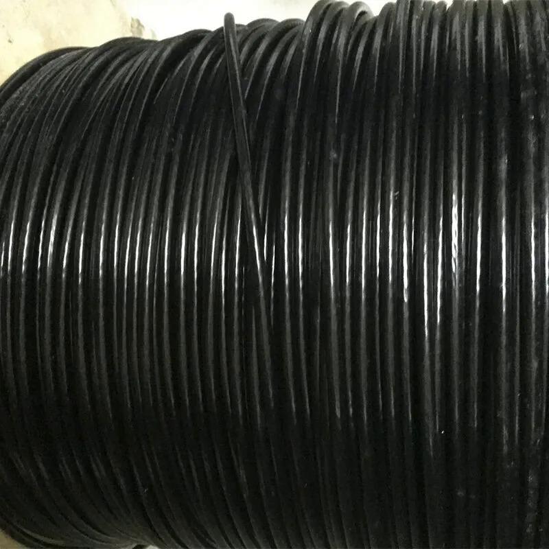 Product Introduction of 304 Stainless Steel Black Plastic Coated Soft Steel Wire Rope Flip Hook Fish Line Clothesline Advertising Hang Rope Plastic Coated Fish Buckle Rope 36