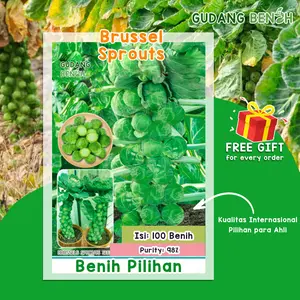 [TERBARU] Benih Tanaman Sayuran Brussel Sprout Kubis mini Berkualitas Isi 100 Benih