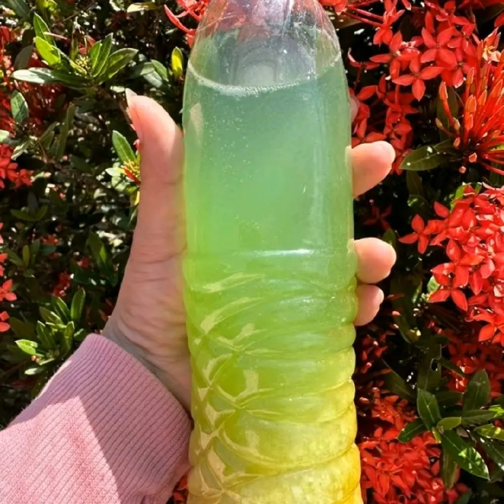 MUỐI HẠT và TỬU (phèn chua, phèn xanh, phèn đen) HỖ TRỢ VIÊM XOANG, Viêm mũi dị ứng, viêm đa xoang