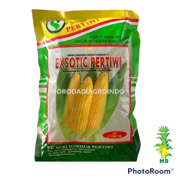 Benih jagung manis hibrida Exotic F1 Pertiwi 250 gram